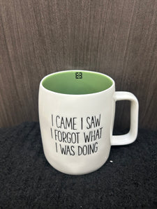I CAME I SAW I FORGOT WHAT I WAS DOING