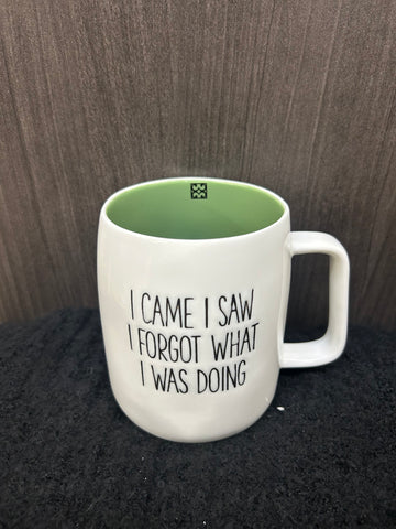 I CAME I SAW I FORGOT WHAT I WAS DOING